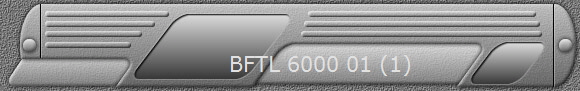 BFTL 6000 01 (1)